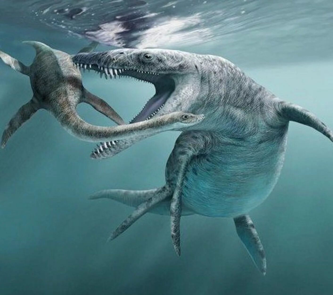 Плезиозавр Юрского периода. Юрский период Лиоплевродон. Юрский Плиозавр. Плезиозавр и Лиоплевродон. Динозавр жил в воде