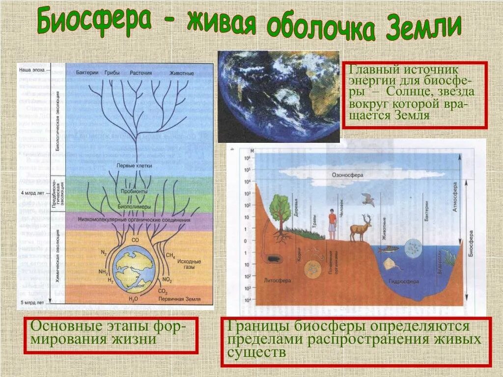 География 6 класс биосфера земная оболочка презентация. Биосфера Живая оболочка земли. Биосфера земная оболочка 6 класс география. Биосфера оболочка жизни. Постер на тему Биосфера.