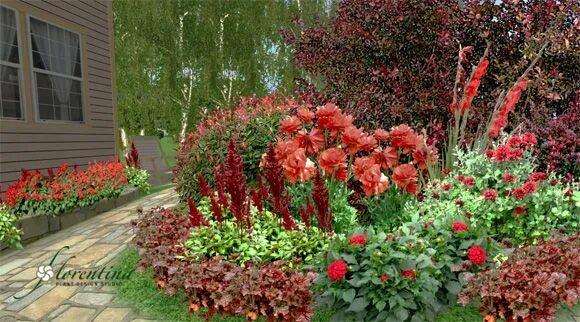Gli spettacolari Bulbi Estivi Gladiolus, Plants, Summer flowering bulbs
