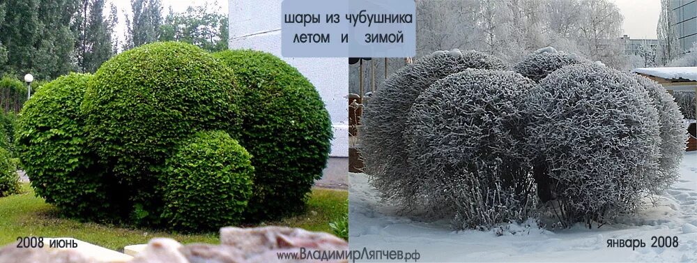 придавать значение или предавать. как нарисовать на бумаге утю. предать выдать. решительность и упорство. айфон 14 обычный.