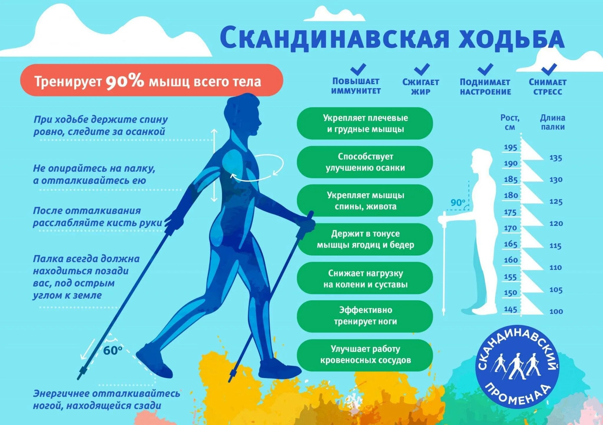 Сколько нужно идти пешком