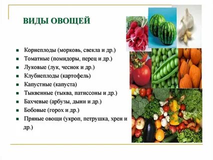 Какие овощи считаются