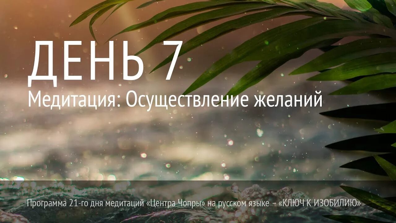 Медитации чопра 21. Марафон изобилия Дипак Чопра. Марафон изобилия Дипак Чопра 21 день. Дипак Чопра медитации на изобилие. Марафон изобилия день 7.