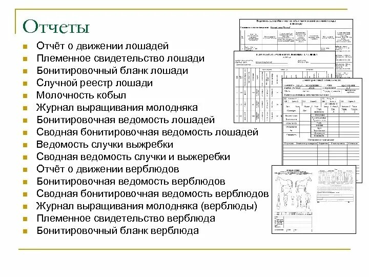 Форма 33н отчетность. Формы статистических отчетов. N отчеты. N отчеты. Отчет инженера форма.
