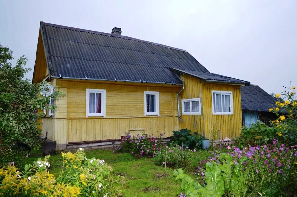 а. плюсса псковская область дом. деревня палицы псковской области. плюсса псковская область дом. псковская область стругокрасненский район.