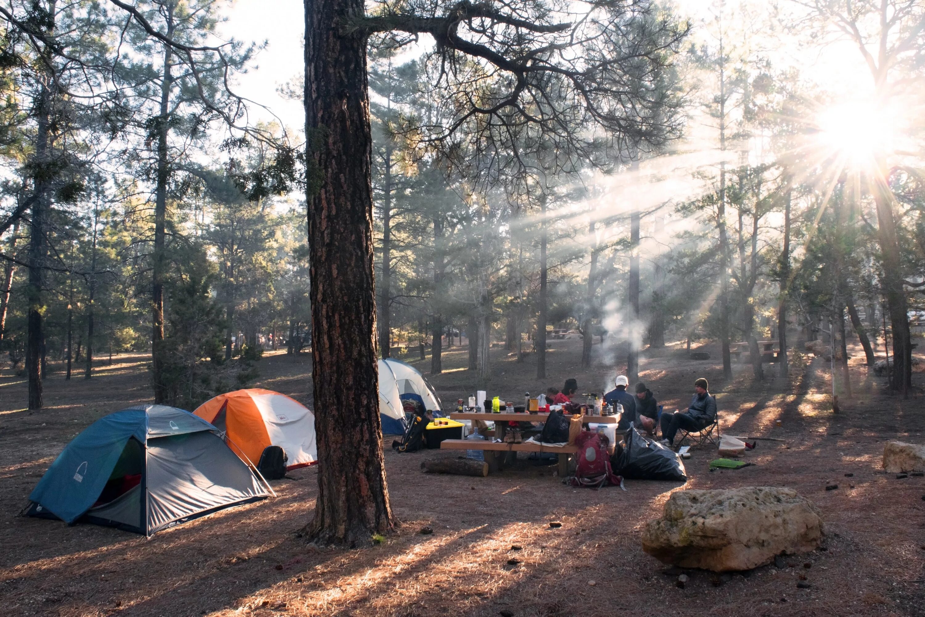 Outdoor camp. Увильды кемпинг с палатками. Истринское водохранилище с палатками. Палаточный лагерь Новосибирск. Палаточный лагерь в лесу у реки.