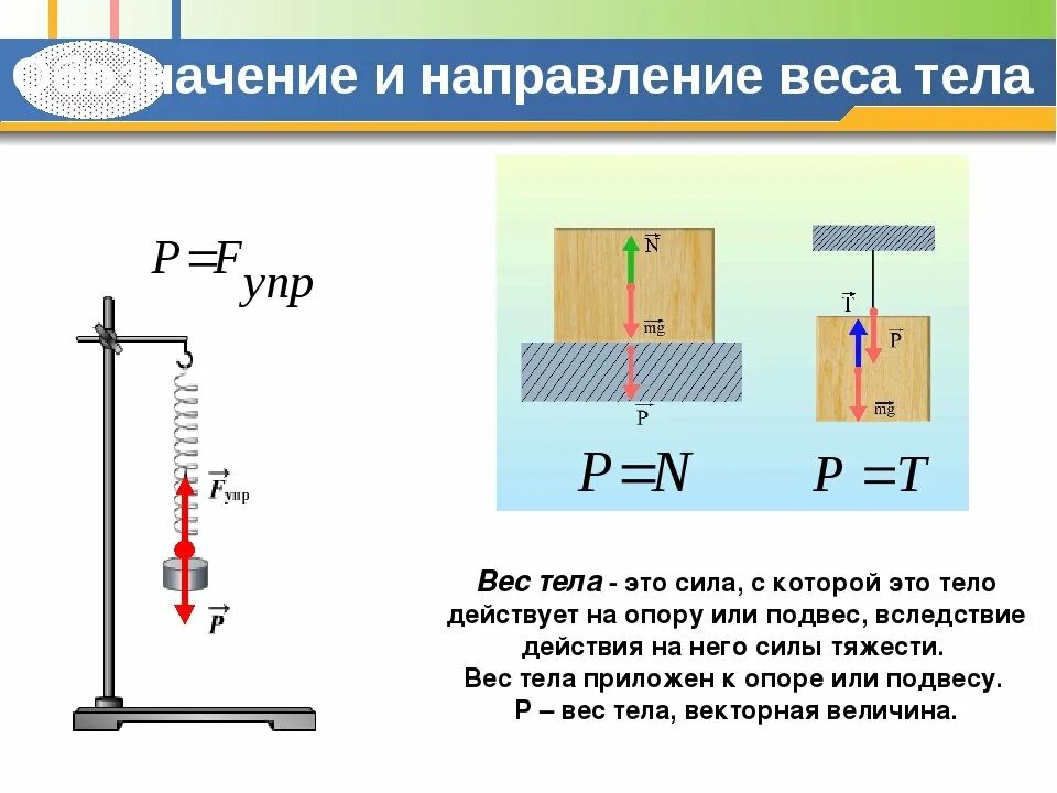 Сила тяжести при подъеме. Формула веса тела физика 7 класс. Вес тела на подвесе. Масса и вес тела физика 7 класс. Формула силы тяжести 7 класс физика вес тела.