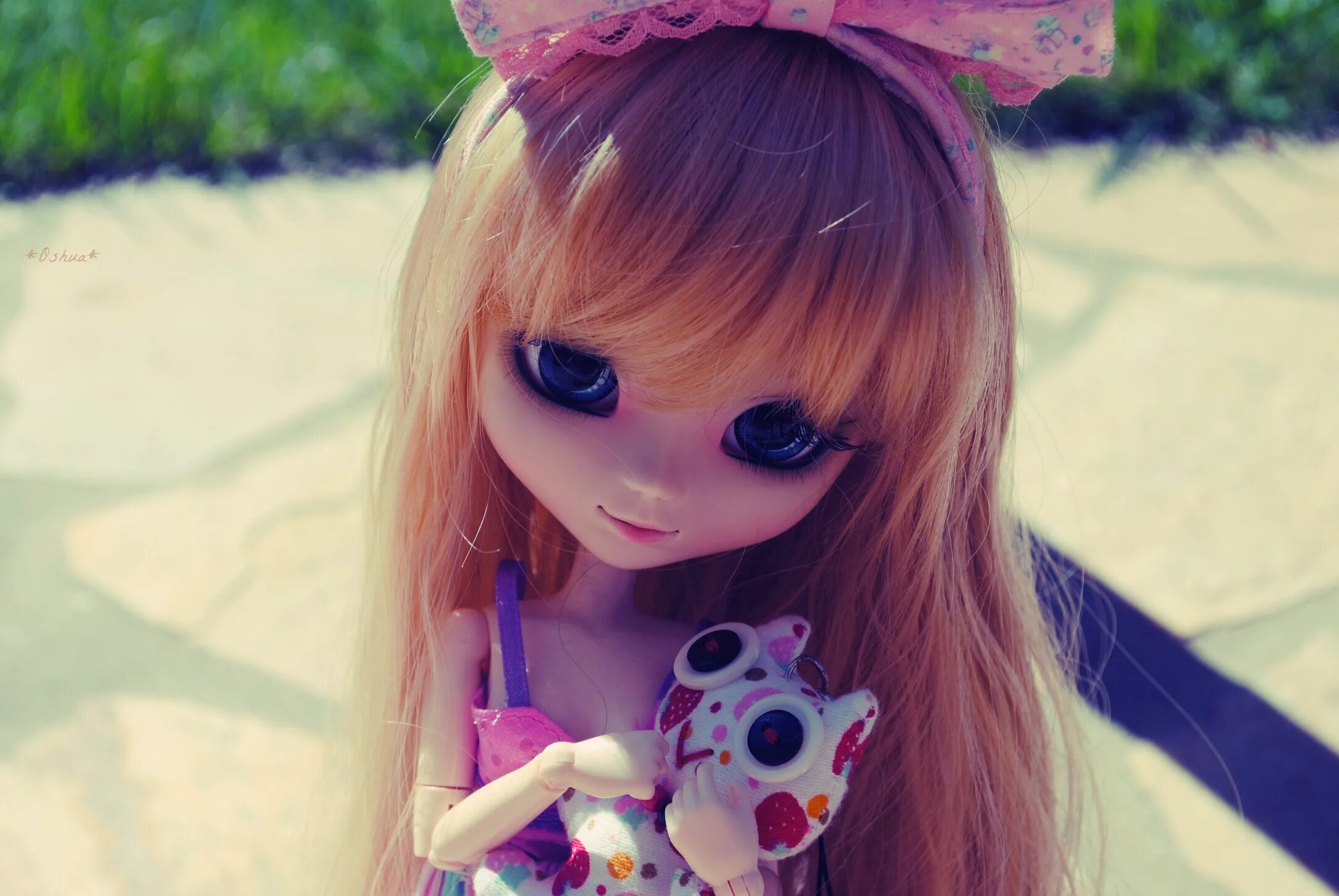 Pin on Toys