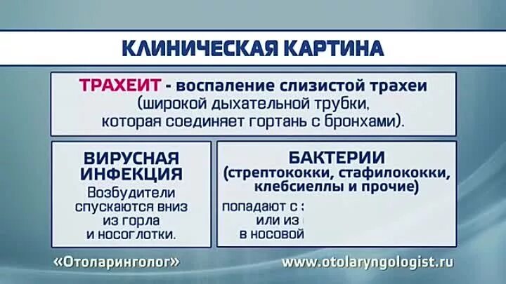 Трахеит температура лечение. Трахеит клиническая картина. как лечить трахеит.