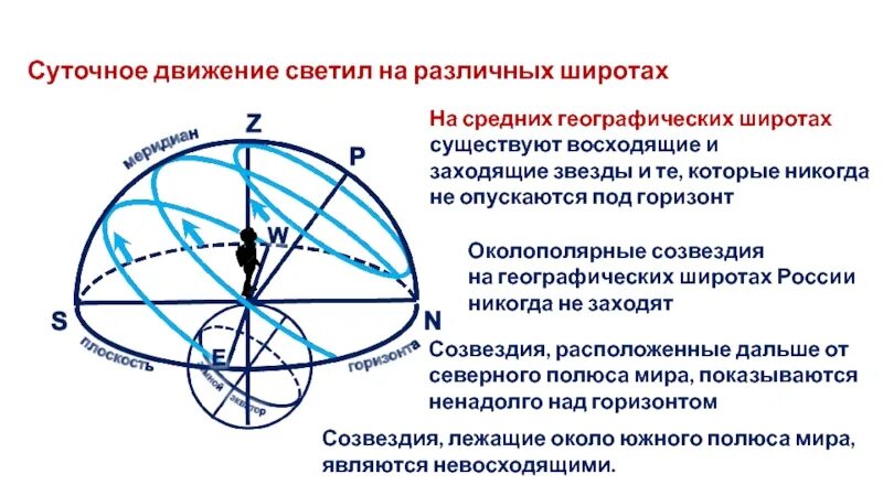 Суточное движение светил в средних широтах. Сутрчное двмжение свеиил. Движение звезд на разных широтах. Суточное движение звезд. Направление движения звезд