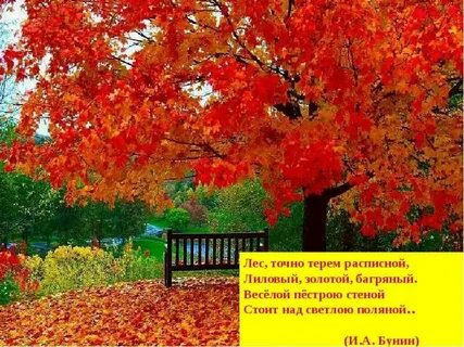 Багряным золотом стихи