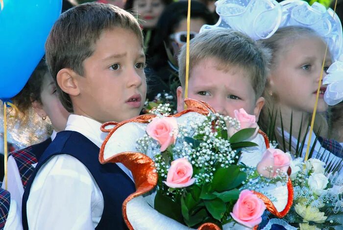 Видео школа глазами. Школа глазами школьников. Конкурс фото первоклассника.