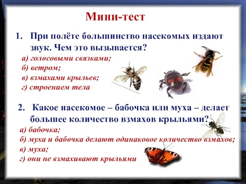 Звуки насекомых. При полете большинство насекомых издают звук чем он вызывается. Количество взмахов крыльев насекомых. Какие звуки издает бабочка.