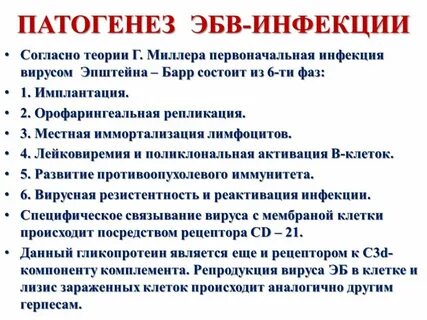 Мононуклеоз лечение