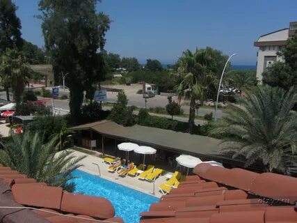 Rose hotel 3