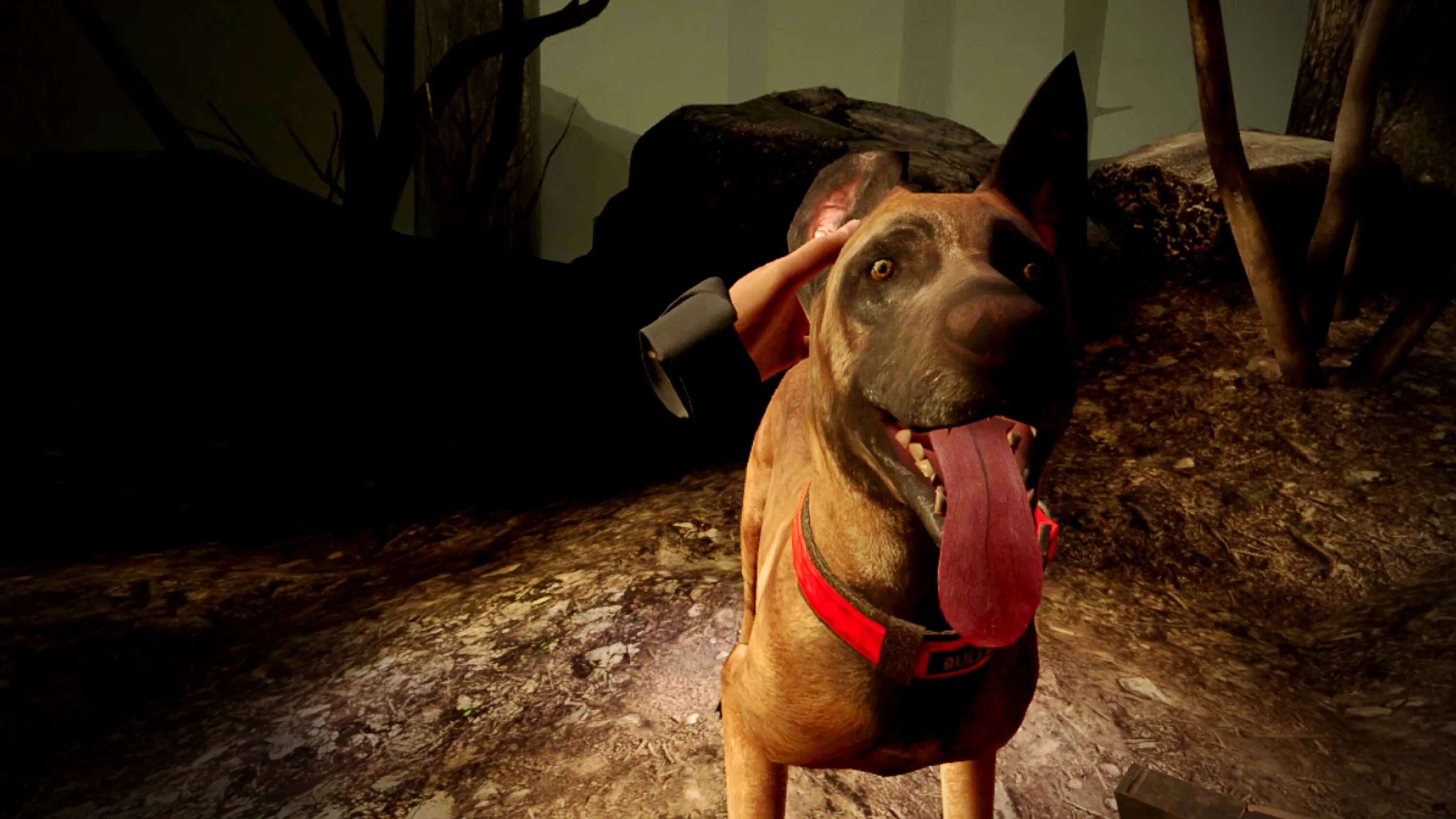 блэр игра. Blair witch игра ps4. Blair witch игра. Blair witch: oculus quest edition. Blair witch игра.