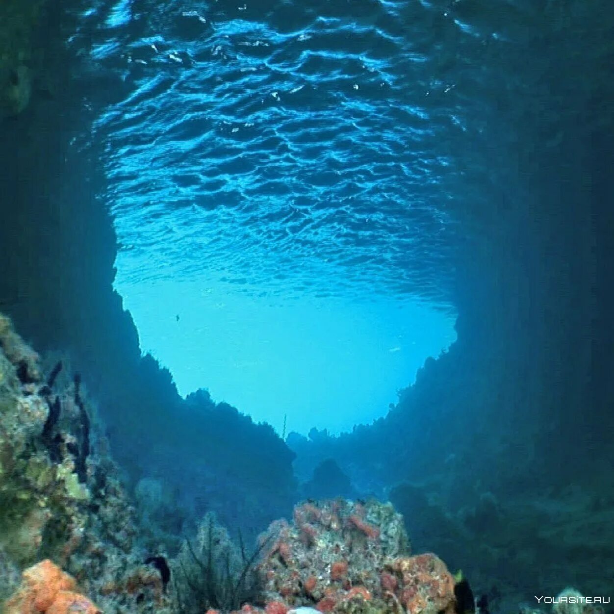 Глубина океана сайт. Морские глубины. океаны. глубина. море под водой.