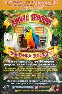 Выставка зоопарк живые тропики