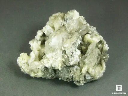 Камневеды интернет