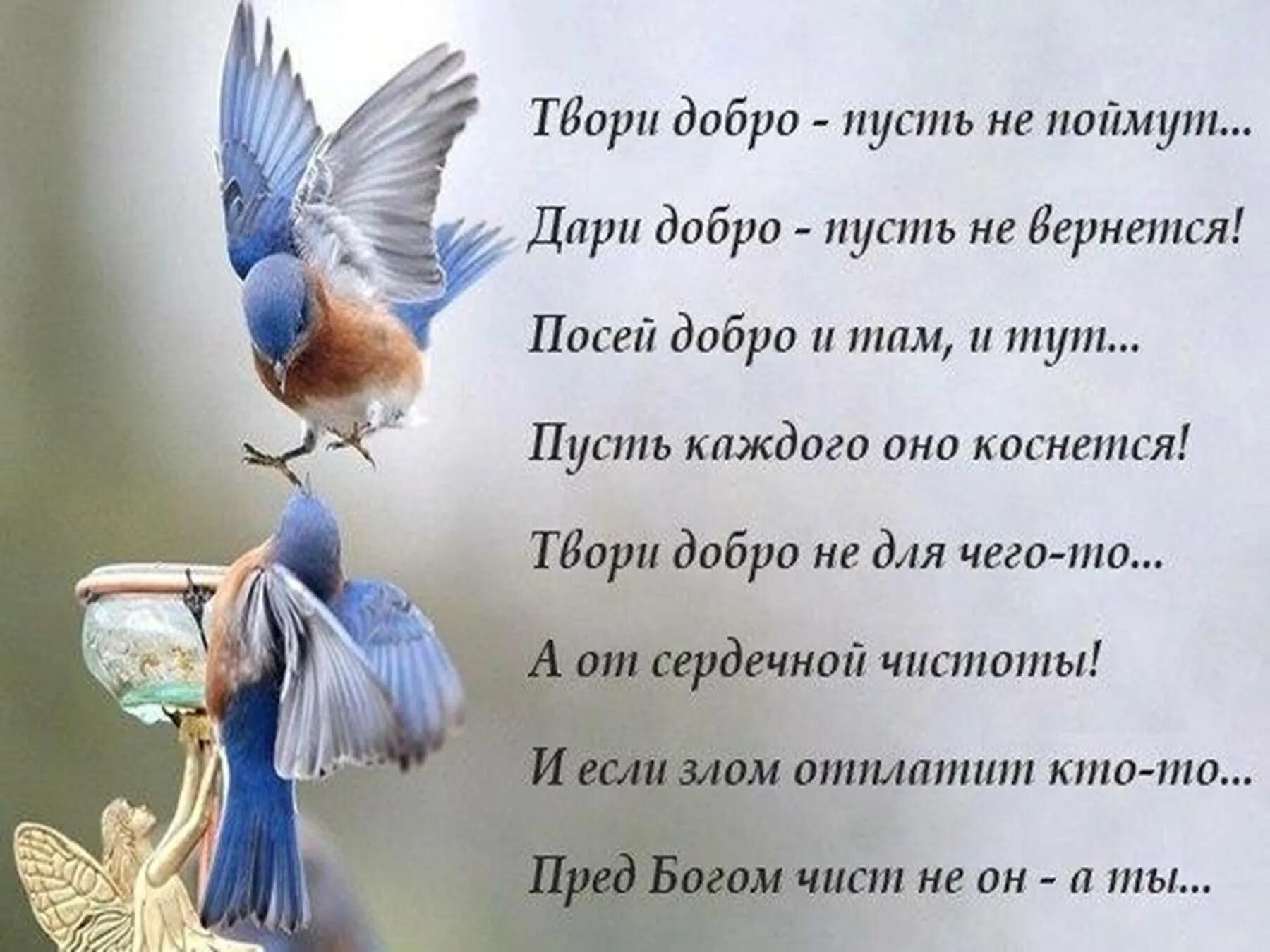Делайте людям добро цитаты. Твори добро. творите добро цитаты. красивые фразы про добро. красивые стихи о мире и добре.