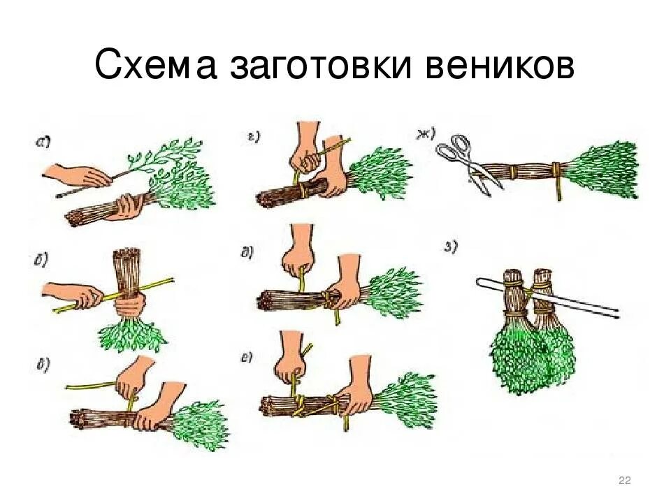 Как правильно делать веники для бани. Заготавливаем веники для бани. веник для бани березовый. заготовка веников для бани. вяжем веники правильно.