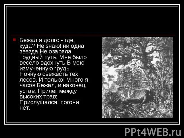 Песню я кучу я бежал. Ни одна звезда не озаряла трудный путь. Бежал я долго где. Мцыри бежал я долго. Бежал я долго где куда не.