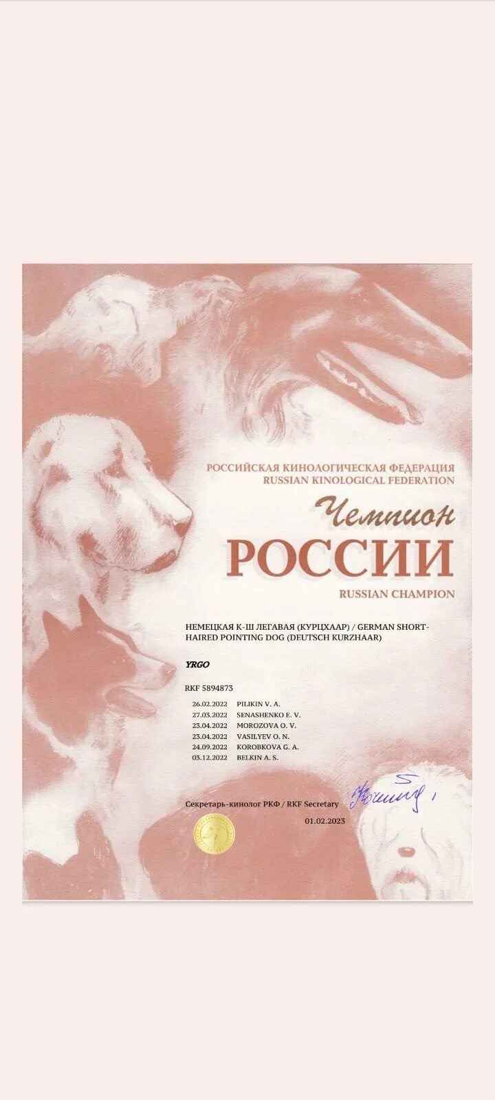 Ркф 2025. Диплом чемпиона россии для собак. диплом чемпион россии у собак ркф. диплом юный чемпион россии. сертификат юный чемпион ркф.