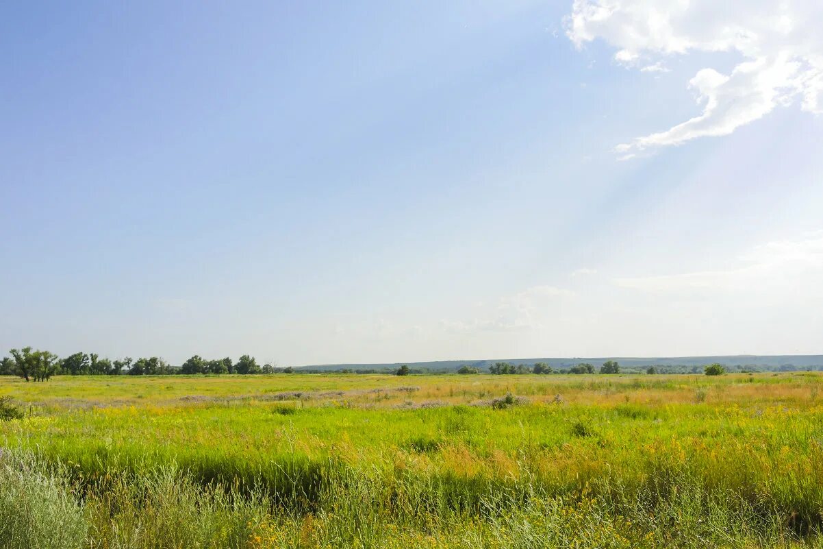 Степь забайкальский край. Степь дергачевский район. Летняя степь. Ширакская степь. Барабинская степь.