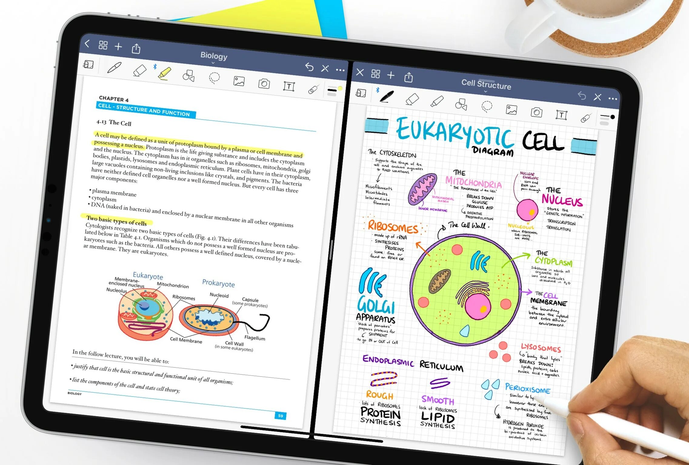 Приложение для ведения записей. Goodnotes приложение. Goodnotes конспекты. Конспекты на IPAD. Приложение для Айпада для конспектов.