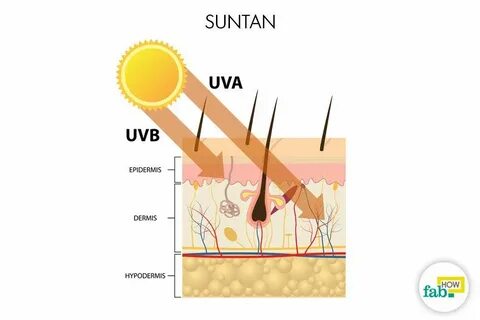 Uvb