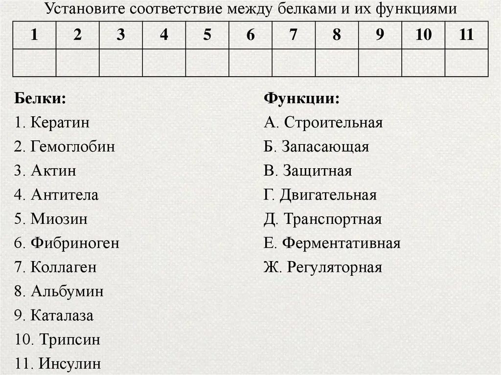 Установить соответствие между спортсменами. Функции белков установите соответствие между белками и их функцией. Установите соответствие между белками и их функциями. Установите соответствие функций и белки. Установите соответствие функции.