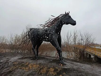 Лошади курган область