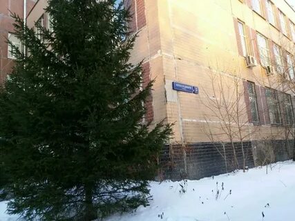 Ул дикого