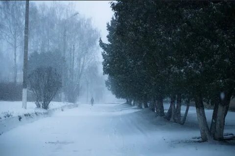 Метель 11 января