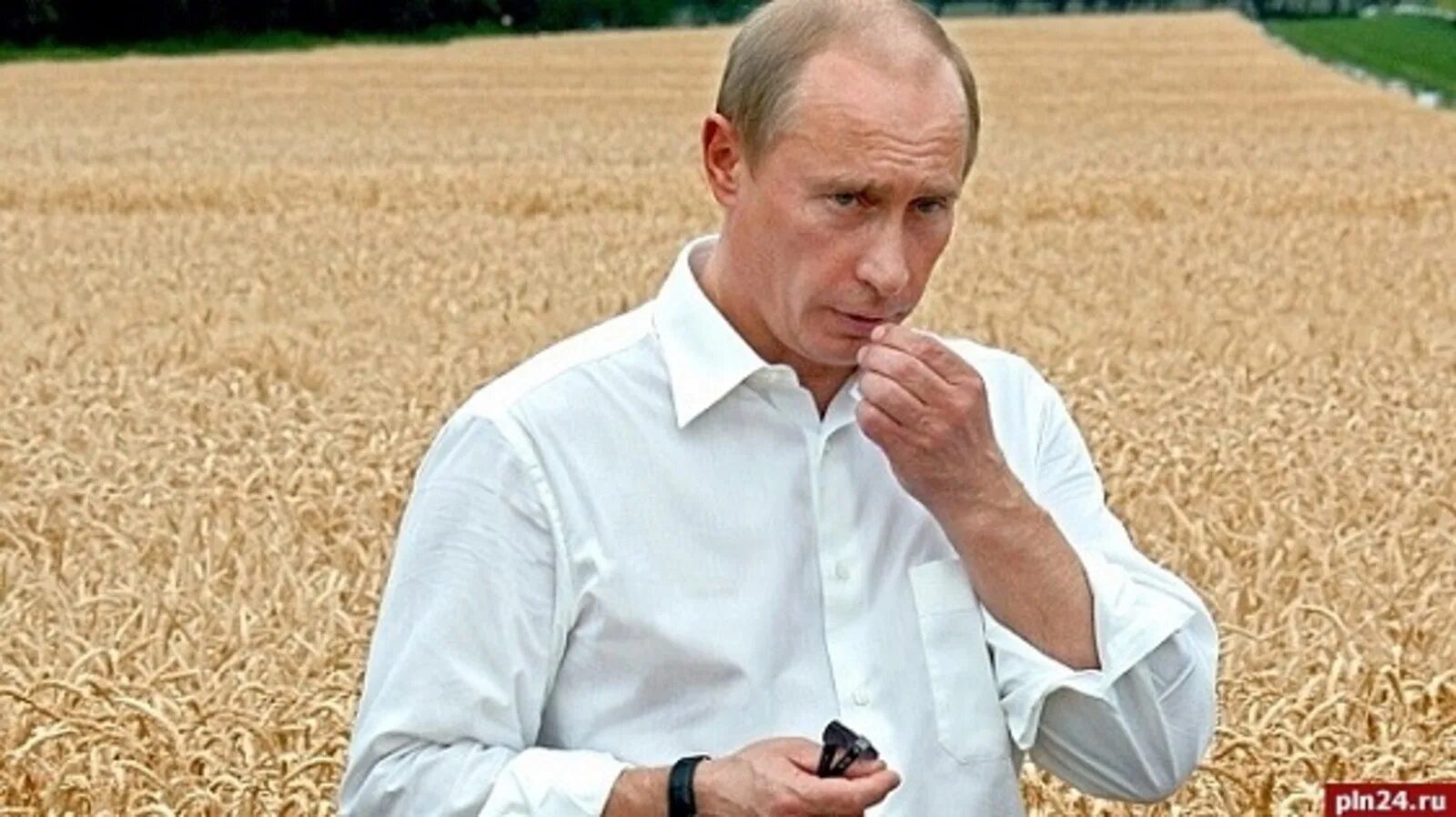 Какого числа день сельского хозяйства в 2023. Путин сельское хозяйство. Пу́тин сельское хозяйство. Путин в хозяйстве. Путин сельское хозяйство 2000.