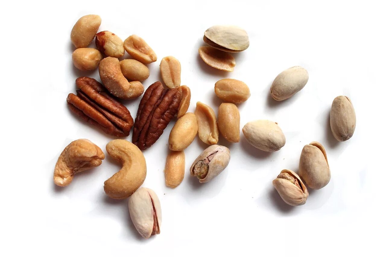 Nuts model
