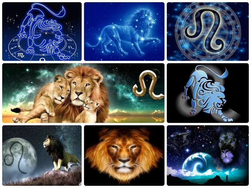 Гороскопы майл лев мужчина. Лев по знаку зодиака. Лев знак зодиака знаки зодиака. Лев знак зодиака символ. Символ Льва по зодиаку.