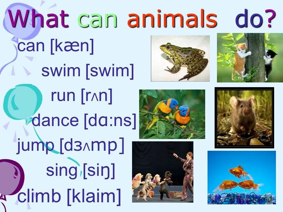 Do you like animals. What can animals do. Animals темы для урока английского языка. What can animals do презентация 2 Grade. Что умеют животные на английском.