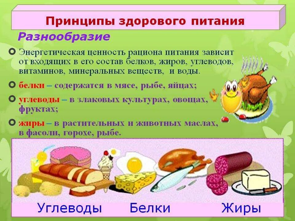 Блюд белки углеводы. Белки жиры углеводы. принципы здорового питания. белки жиры углеводы для детей. здоровое питание белки жиры углеводы.