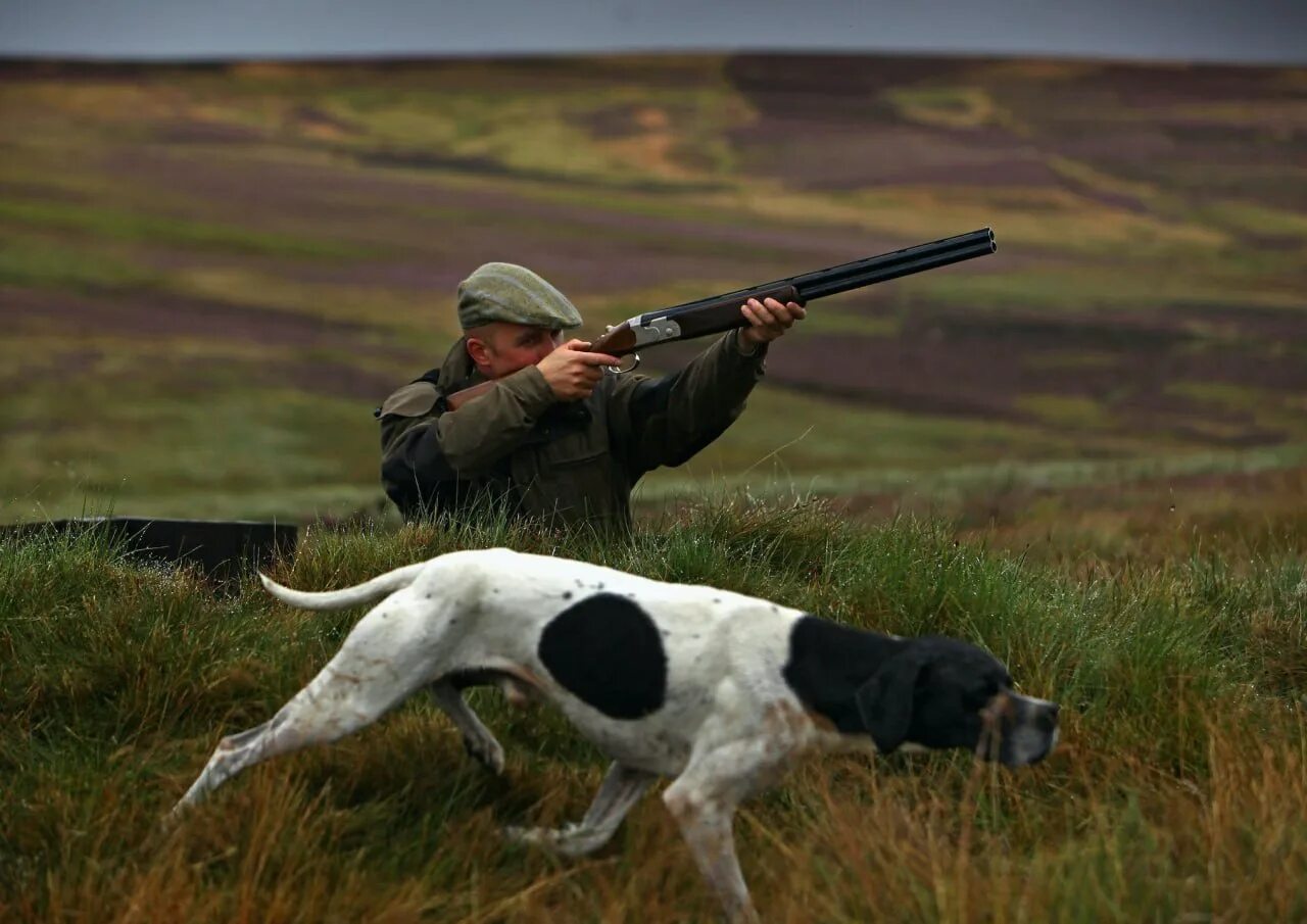 Hunting in another