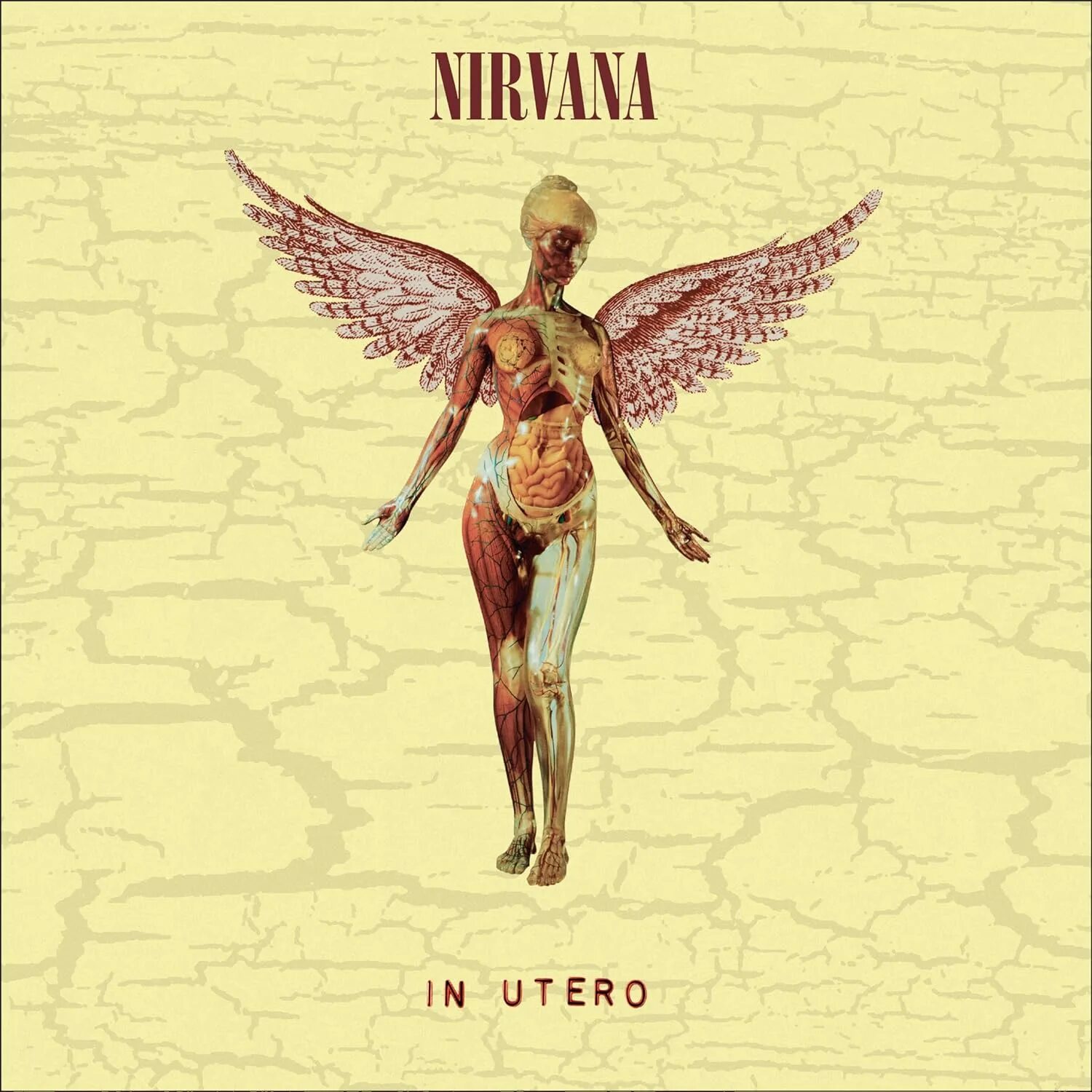 Изображение альбом 1. Нирвана обложка in utero. nirvana in utero обложка альбома. nirvana in utero 1993. nirvana in utero альбом.