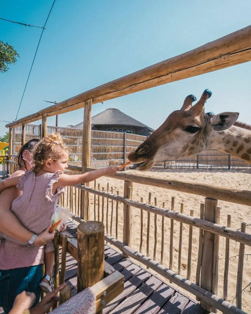 Билеты в сафари дубай. Сафари парк зоопарк в дубае. Dubai zoo дубай. Билеты в сафари дубай. Safari park дубай.