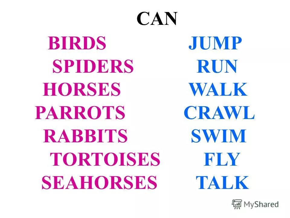Spiders can crawl and jump. Crawl spider fly bird jump rabbit swim seahorse walk tortoise talk parrot. транскрипция слов crawl spider fly bird jump rabbit swim seahorse walk tortoise talk parrot. spider, bird, rabbit, seahorse, tortoise, parrot. crawl 3 класс карточки.