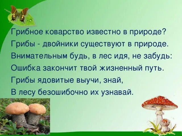 Путем грибной мудрости. Грибы презентация. Съедобные и ядовитые грибы презентация. Сообщение о съедобных грибах 2 класс. Грибы 2 класс окружающий мир.