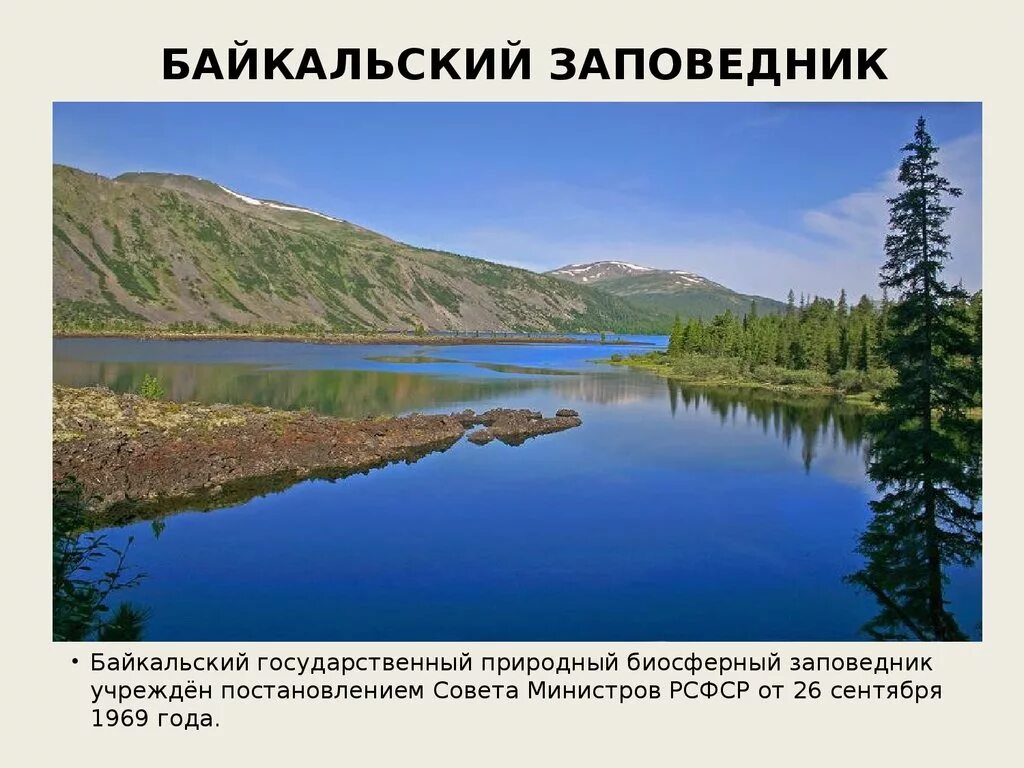 Байкальский заповедник информация. Байкальский государственный природный биосферный заповедник. заповедник байкальский заповедник. проект о заповеднике байкала. природный комплекс байкальского заповедника.