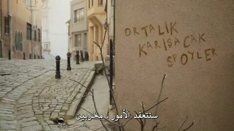 Фразы улиц