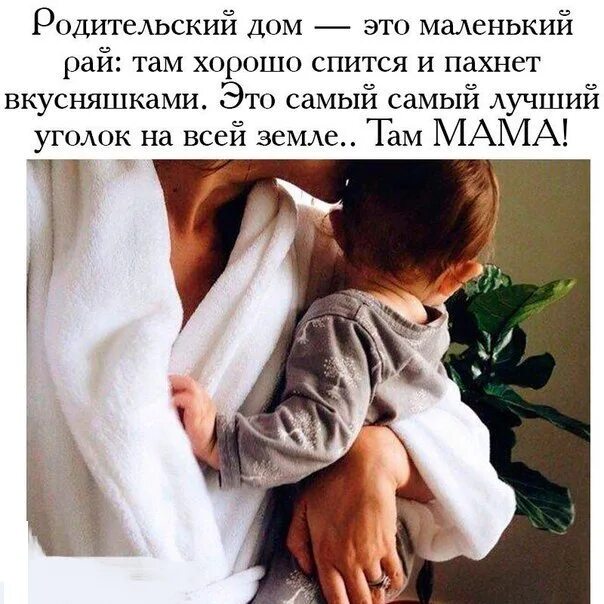 Запах земли в комнате