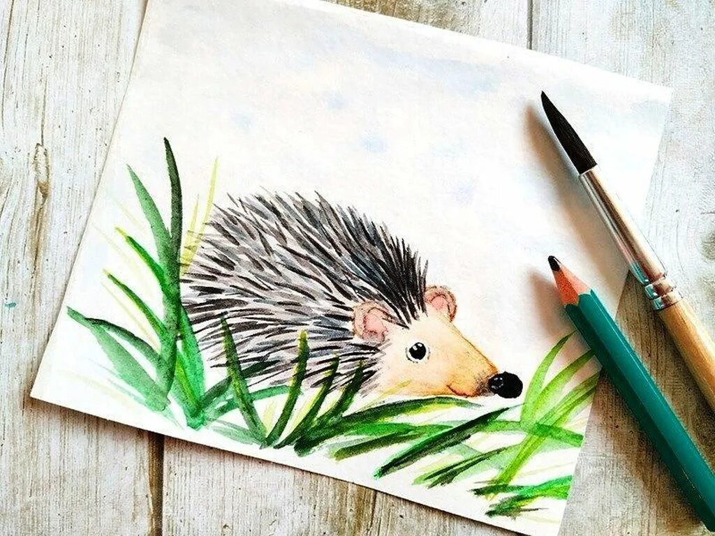 Рисования картинки ежик. Рисование ежа. рисование еж. ёжик для рисования детям. нарисовать ежика.