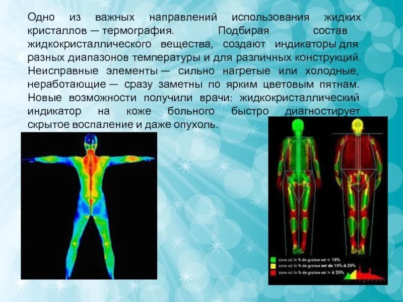 Индикатор тела человека