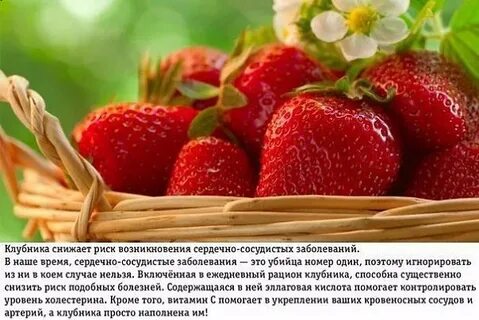 Клубника плюсы